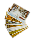 Наглядное пособие. Картины из жизни диких животных. 3-7 лет — фото, картинка — 1