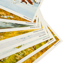 Наглядное пособие. Картины из жизни диких животных. 3-7 лет — фото, картинка — 2