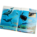 Киты — фото, картинка — 2