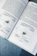 Мышление третьего тысячелетия. Поиск смысла в мире бессмыслицы — фото, картинка — 4