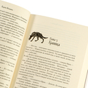 Сколько волка ни корми — фото, картинка — 3