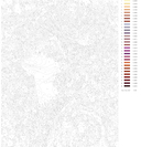 Картина по номерам с золотыми красками 