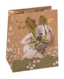 Пакет бумажный подарочный 