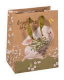 Пакет бумажный подарочный 