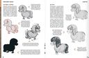 Дизайн персонажей-животных. Концепт-арт для комиксов, видеоигр и анимации — фото, картинка — 3