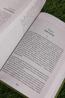 Археологи — фото, картинка — 7