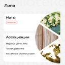 Парфюмерное масло для женщин 