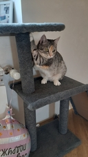 Игровой комплекс 