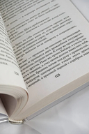 Отбор драконов для серой мышки — фото, картинка — 6