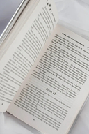 Отбор драконов для серой мышки — фото, картинка — 7