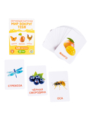 Обучающие карточки. Мир вокруг — фото, картинка — 1