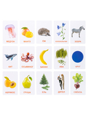 Обучающие карточки. Мир вокруг — фото, картинка — 2