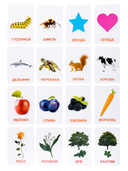 Обучающие карточки. Мир вокруг — фото, картинка — 3