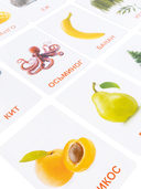 Обучающие карточки. Мир вокруг — фото, картинка — 4