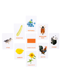 Обучающие карточки. Мир вокруг — фото, картинка — 6