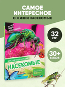 Насекомые — фото, картинка — 1