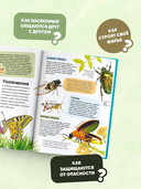 Насекомые — фото, картинка — 3