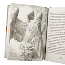 Чайка Джонатан Ливингстон — фото, картинка — 3