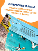 Все тайны подводного мира — фото, картинка — 2