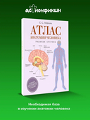 Атлас анатомии человека. Нервная система — фото, картинка — 1