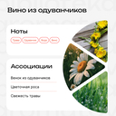 Парфюмерное масло унисекс 