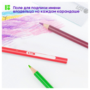 Набор карандашей цветных 