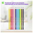 Набор карандашей цветных 