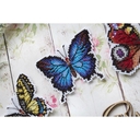 Набор для вышивания на пластиковой канве 