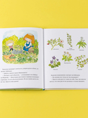 В саду Базилика. Сорняков не существует! — фото, картинка — 4