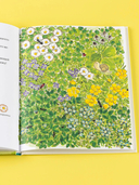 В саду Базилика. Сорняков не существует! — фото, картинка — 6