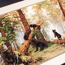 Набор для вышивания 