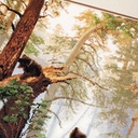 Набор для вышивания 