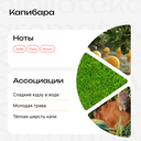 Духи унисекс 