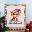 Набор для вышивания 