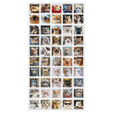 Набор наклеек 