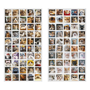 Набор наклеек 