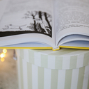 Пёс по имени Мани — фото, картинка — 1