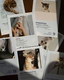 Каляндар настольны на 2026 год 