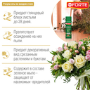 Средство для блеска листьев (500 мл) — фото, картинка — 1