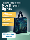 Пакет бумажный подарочный 