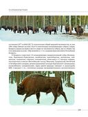 Млекопитающие Беларуси — фото, картинка — 6