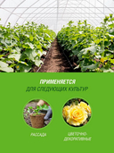 Торф верховой 