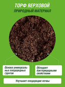 Торф верховой 