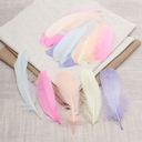 Перо гусиное обработанное 