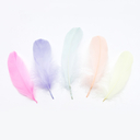 Перо гусиное обработанное 