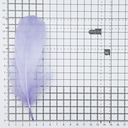 Перо гусиное обработанное 