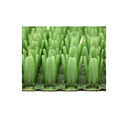 Коврик придверный 