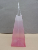 Пакет пластиковый подарочный 