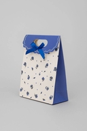 Пакет бумажный подарочный 