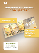 Набор магнитных закладок 